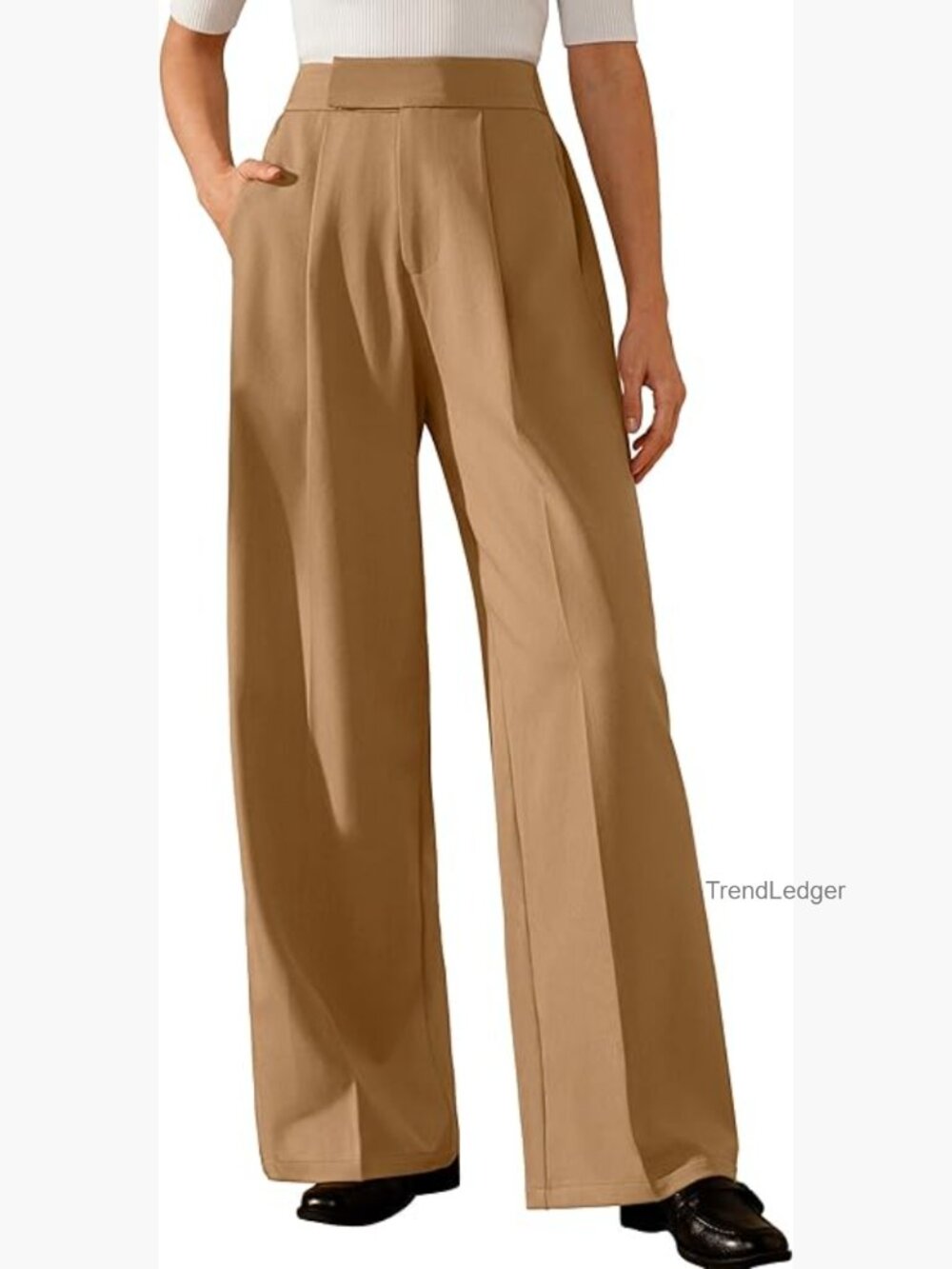 Wide Leg Pleated Dress Pants High Waisted Wrinkle Free Business Casual
